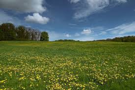 Stad borgloon speelhof 10 3840 borgloon infodienst@borgloon.be 012 67 36 73 btw be 0206 914 361 Borgloon Limburg Beliebte Routen Alltrails