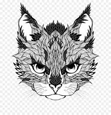 Image result for free blog pics of bobcat kittens