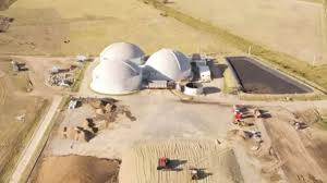 Kathrin Carvajal only shes exactly what everyone has been searching for