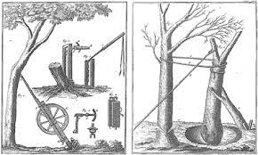 Baum fällen, axt, äxte royalty free sound with a duration of 23.00 seconds. Bis In Unser Jahrhundert Gab Man Der Axt Den Vorzug Vom Wald Zum Forst Handwerkszeug Wald Natur Und Freizeitfuhrer