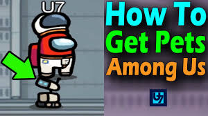 How To Get Pets In Among Us Youtube