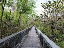 Tall Cypress Natural Area