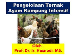 Sistem Pakar Untuk Mendiagnosa Penyakit Ayam Ppt Download