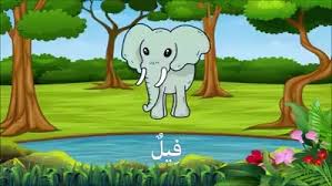Umumnya ucapan selamat ulang tahun islami, jika diucapkan dalam bahasa arab adalah selamat milad / idul milad, kata gabungan yang diambil dari kataselamat dan milad. Video Nama Nama Haiwan Dalam Bahasa Sriti Negeri Perak