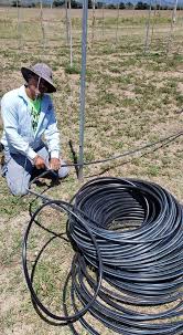 Estos son Puertorriqueños, no se quitan y se votan gad. Espero que el cielo  me los cuide, para que juntos hagamos de Los Sueños Farm una finca viva,  productiva y de bienestar