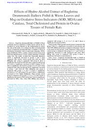 Image result for Englerina