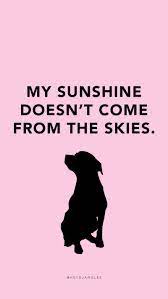 Free Hd Dog Quote Wallpapers Backgrounds Check Out Our Free Hd Dog Quote Wallpapers For Mobile Right Here New Des Puppy Quotes Dog Quotes Puppy Love Quotes