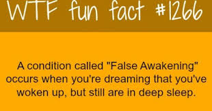 False Awakening Funny Facts Wtf Fun Facts Fun Facts