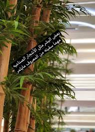 Pin By Najd On نصائح وحكم Novelty Sign Decor Home Decor