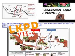 Lkpd ips kelas 7 semester 1. Keadaan Flora Dan Fauna Indonesia Ips Kelas 7