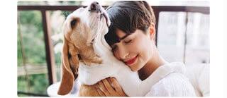 Below are 48 working coupons for american service pets coupon from reliable websites that we have updated for users to get maximum savings. American Service Pets Esa Letters Online