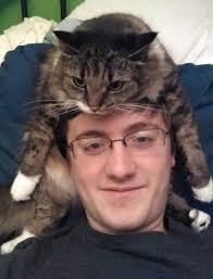 People Wearing Cats As Hats Is The Cutest Trend Right Now