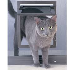 The flap is magnetic but it has manual override clips you can use when you need them. Petsafe Pet Screen Door Petco