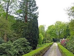 English director with a great passion for cars. Kaldenkirchener Grenzwald Biologie