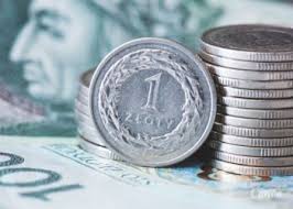 Smaczny, zdrowy i łatwy w uprawie. Zaproś agrest do ogrodu