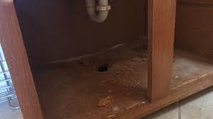bathroom - How to fix the damaged floor of a vanity cabinet? - Home  Improvement Stack Exchange