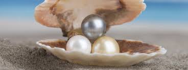 Pearls: The Only Sustainable Gems – Timeless Pearl