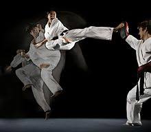 A martial artist1 is a devoted practitioner of martial arts. Martial Arts Wikipedia