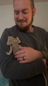 Best bedding or substrate for bearded dragons