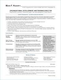 Cv Template For Over 40 Resume Examples Project Manager Resume Resume Examples Manager Resume