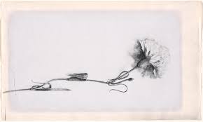 Bildergebnis für Claudio Perna