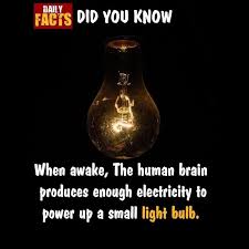 Pin By Chrissie Marie On Daily Facts Light Bulb Small Light Bulb