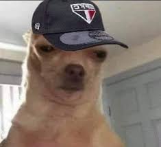 Memes Futebolisticos On Twitter Respondam Aqui Apenas Com Variacoes Desse Meme Diniz Vendo Isso