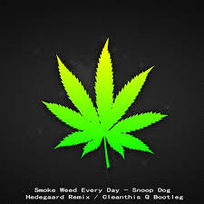 Check spelling or type a new query. Stream Smoke Weed Every Day Snoop Dogg Hedegaard Q Bootleg By Cleanthis Q Listen Online For Free On Soundcloud