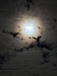 Gail Crabtree Lawver (@glawver_) • Threads, Say more