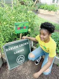 Tropical Gardening Vegetables And Annual Flowers Thrive In Big City Summer Gardens Hawaii Tribune Herald