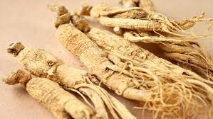 .dari pengalaman kami, ginseng kianpi pil adalah cara tercepat dan termudah untuk penggemukkan badan, bahkan tanpa latihan (tentu saja berolahraga dan mengkonsumsi produk ini membantu untuk jika. Serba Serbi Tentang Khasiat Ginseng Jawa Rumah Com