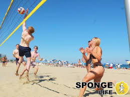 Explore an array of madrid, es vacation rentals, including apartment and condo rentals, houses & more bookable online. Beach Volleyball Day Out Picture Of Sponge Madrid Tours Tripadvisor