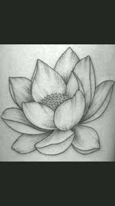 Lotus Flower Drawing For Kids Pw Navi In Realistic Flower Drawing Drawing Flower Kids Lotus Lotus Flower Drawing Flower Sketches Realistic Flower Drawing