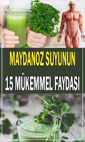 maydanoz suyunun sagliga 16 mukemmel faydasi sosyolife net dogal dis beyazlatma sifali otlar saglikli yasam