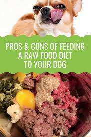 Raw Dog Food Pros And Cons Barking Royalty Raw Dog Food Recipes Raw Food Diet Dog Food Recipes