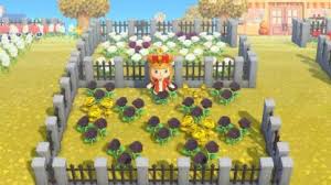 We did not find results for: Acnh Golden Roses How To Get Selling Price Animal Crossing Gamewith