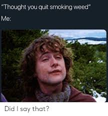 The 'skeletun' crooner some days ago lamented about working solely on his own without a manager. Thought You Quit Smoking Weed Me Did I Say That Reddit Meme On Me Me