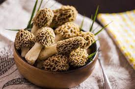 Is It Safe To Eat Mushroom During Pregnancy