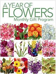 Then get ready for refreshing, beautiful flowers every month on the dot. A Year Of Flowers Tortola Bvi Florist Same Day Flower Delivery For Any Occasion