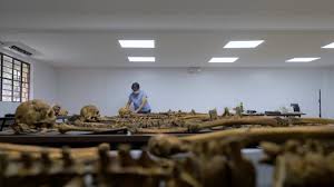 Director Sheryl Rose Andes