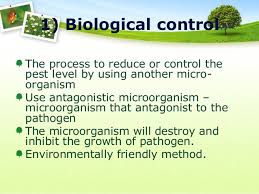 Classical biological control is often cheaper and less. Plant Disease Control