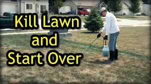 We did not find results for: How To Kill A Lawn And Start Over Lawn Renovation Step 1 Youtube
