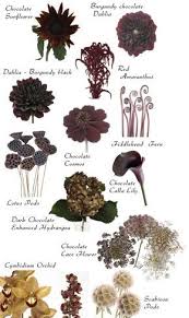 Flower Names By Color Flower Names Types Of Flowers Beautiful Flowers