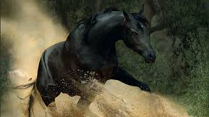 Check spelling or type a new query. Hd Wallpaper S Runner Horses Animals Sand Fantasy Stallions Black Horses Wallpaper Flare
