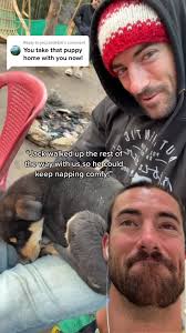 Meet Jack: The Adventure Dog Enjoying Life to the Fullest 🐶❤️🏔️