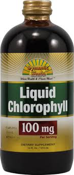 Dynamic Health Liquid Chlorophyll 100 mg 16 oz