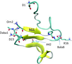 Voluntary motor vehicle statement transfer form by registered owner (jpj k3) attachments. Molecular Dynamics Studies Of A B Sheet Blocking Peptide With The Full Length Amyloid Beta Peptide Of Alzheimer S Disease
