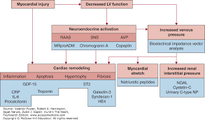 Evaluation And Management Of Acute Heart Failure Hursts