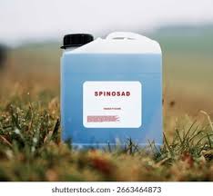 Image result for Spinosad