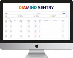 DIAMIND Sentry: The Next Generation Exception Management Solution